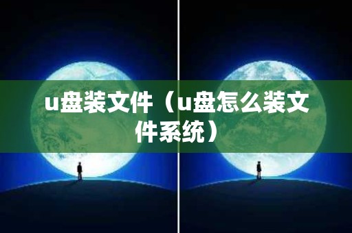 u盘装文件（u盘怎么装文件系统）