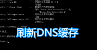 win10刷新dns（Win10清除DNS缓存有哪些方法）