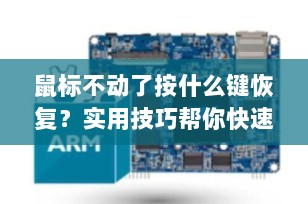 鼠标不动了按什么键恢复？实用技巧帮你快速解决