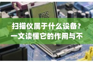 扫描仪属于什么设备？一文读懂它的作用与不可替代性