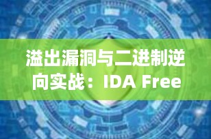 溢出漏洞与二进制逆向实战：IDA Free 9.0 全面指南（附CTF真实案例）